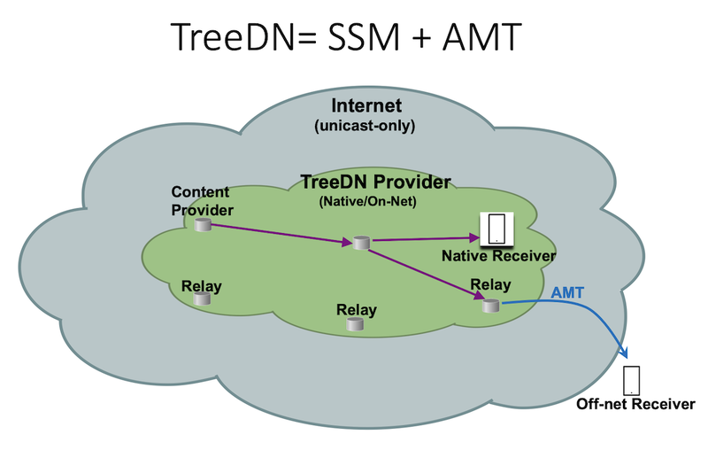 TreeDN diagram showing source-specific multicast within a native provider network and AMT extending delivery to an off-net receiver
